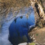 Jaro v Průhonicích